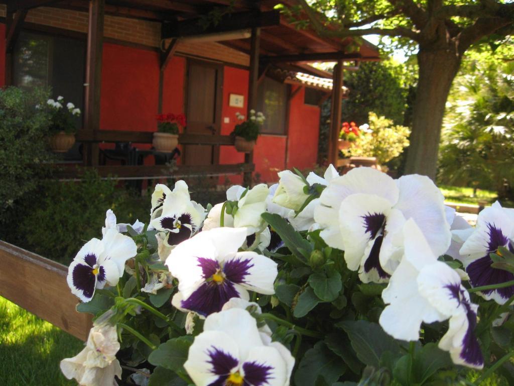Country Apartments Castel di Decima Exterior photo