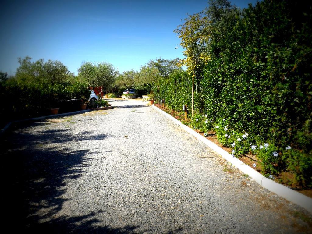 Country Apartments Castel di Decima Exterior photo